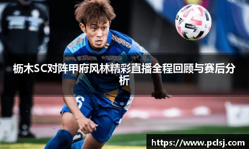 枥木SC对阵甲府风林精彩直播全程回顾与赛后分析
